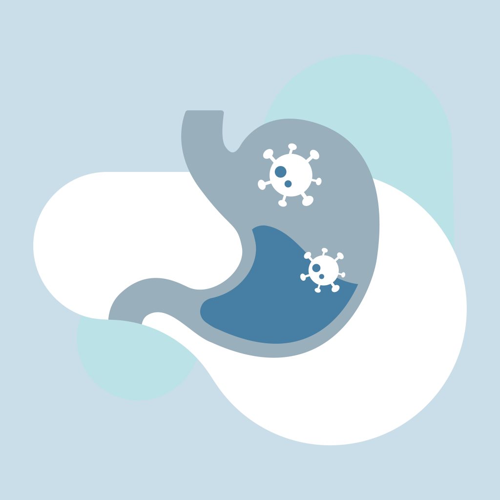 virus in a stomach vector